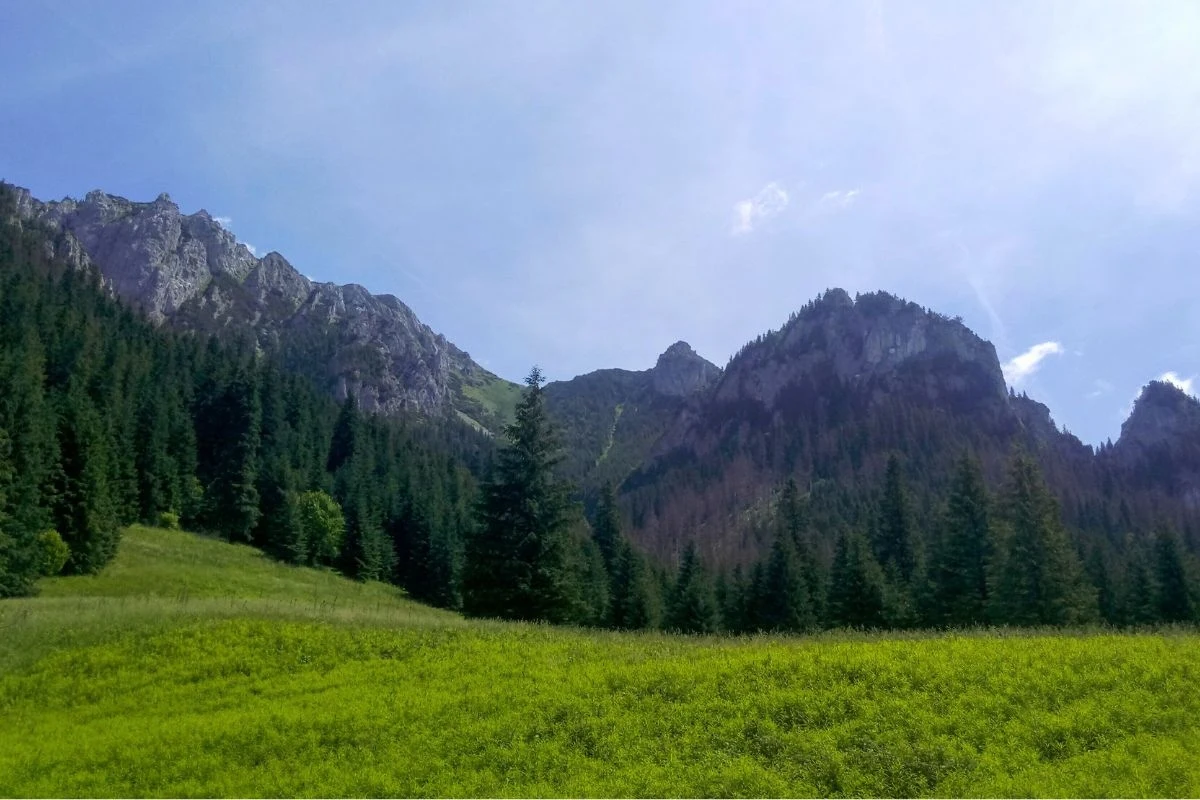 Wędrówkę uprzyjemnią takie widoki