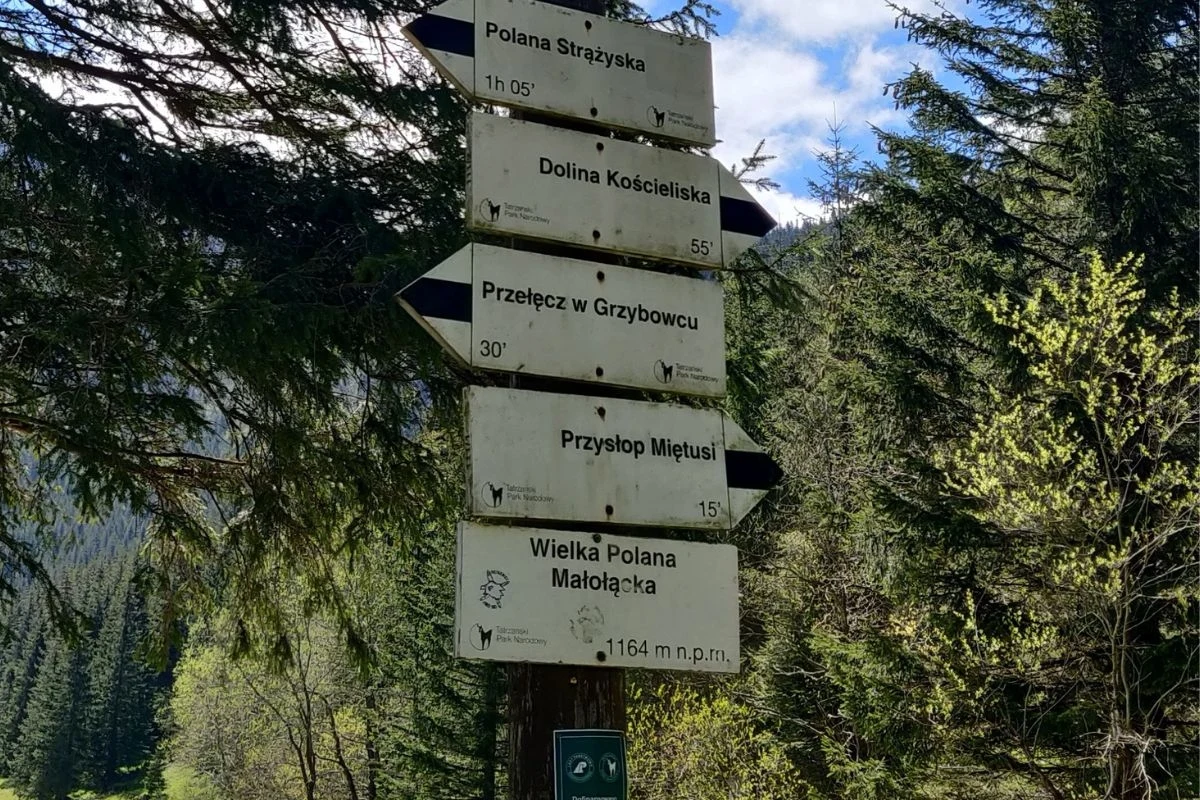 Pomysłów na rozbudowanie wycieczki nie braknie