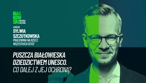 Awantura o Puszczę Białowieską. Spór rozwiąże UNESCO