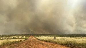 Zimowy upał. Szokująca pogoda w Australii 