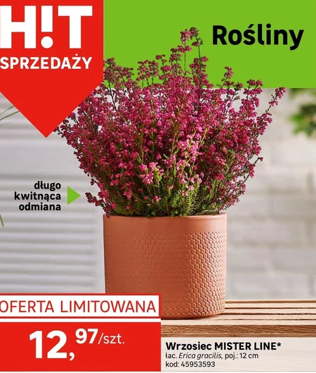 Wrzosiec