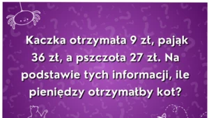 Trudna zagadka wyłącznie dla najbystrzejszych umysłów. Ile pieniędzy otrzymałby kot?