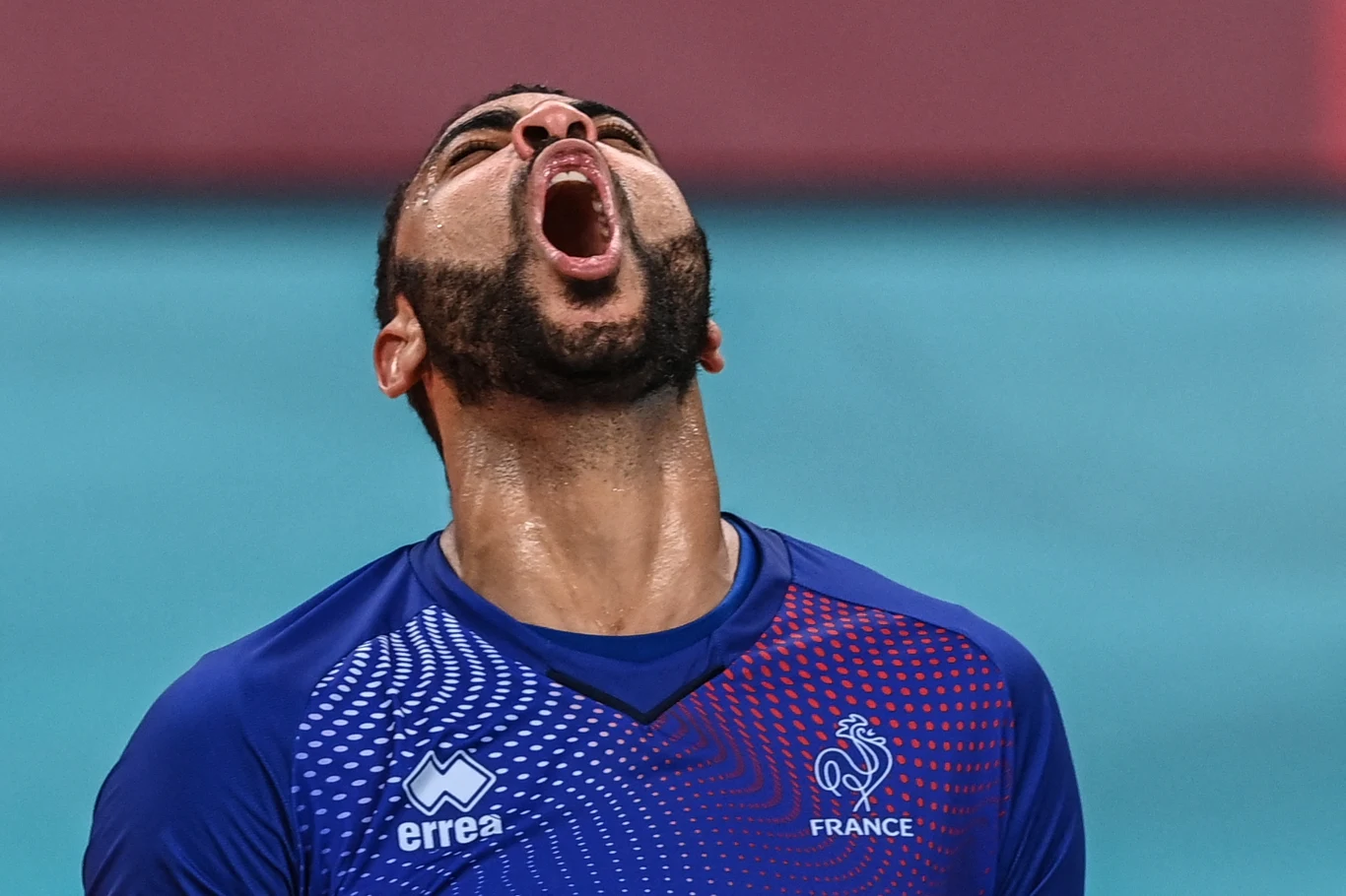 Earvin N'Gapeth