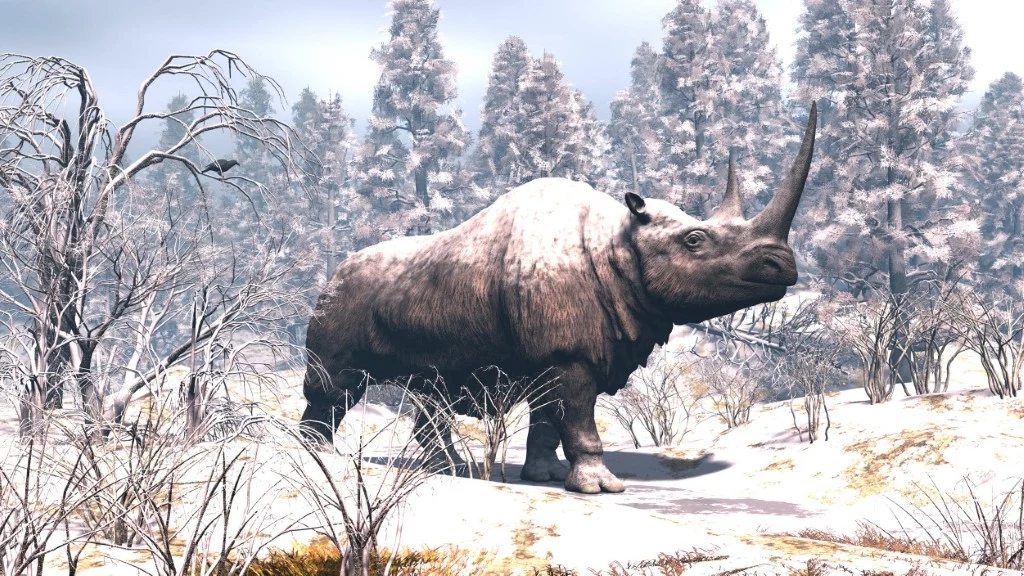 Nosorożec włochaty (Coelodonta antiquitatis) żył w plejstocenie, prawdopodobnie w przedziale od 350 000 do 10 000 lat. Osiągał dwa metry wysokości, pięć metrów długości, a jego waga wynosiła ok. 3,5 tony. Gatunek przystosowany do zimnego klimatu, miał długą, gęstą i grubą rudobrązową sierść. Żywił się porostami, trawami i rosnącymi na stepach tundrowych turzycami 