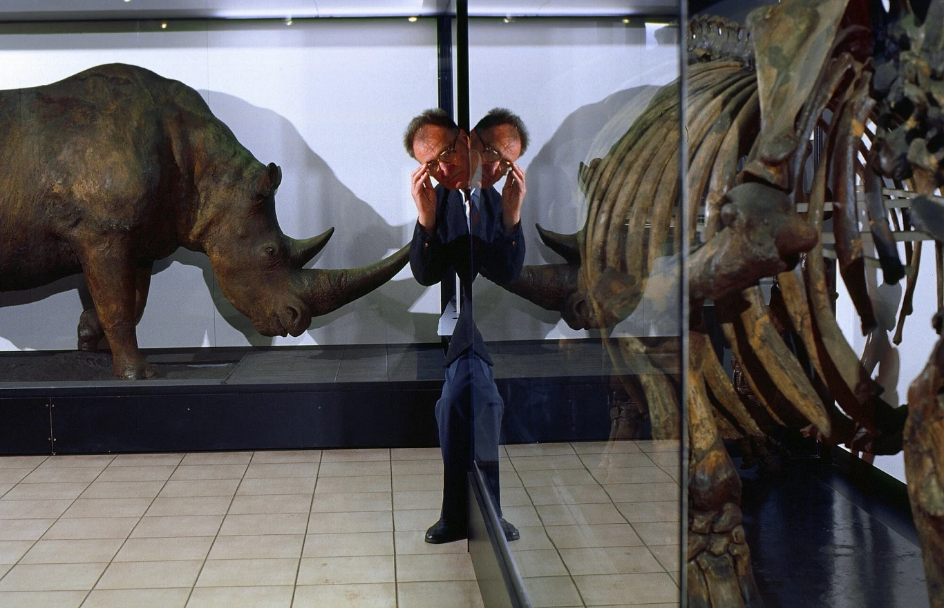 Prof. Henryk Kubiak, wieloletni "opiekun" nosorożca włochatego ze Staruni, jedynego na świecie kompletnego egzemplarza wymarłego gatunku (Coelodonta antiquitatis). Muzeum Przyrodnicze Instytutu Systematyki i Ewolucji Zwierząt PAN w Krakowie