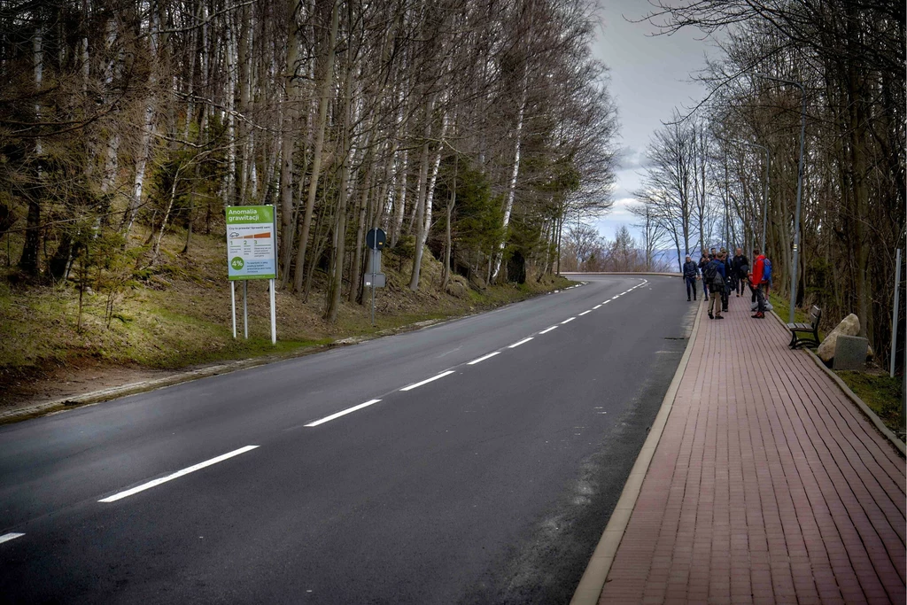 Przestrzeń pomiędzy drzewami sprawia, że nasz mózg jest oszukany i wydaje mu się, że droga wznosi się