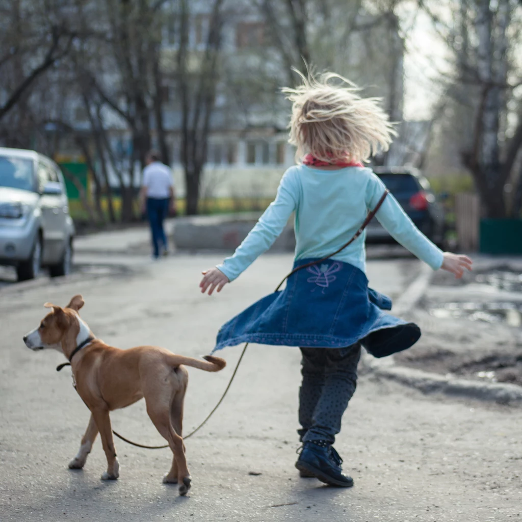 Dziecko samo na spacerze z psem, podobnie jak i sam pies, są narażone na sytuacje, z którymi nie poradzą sobie samodzielnie 