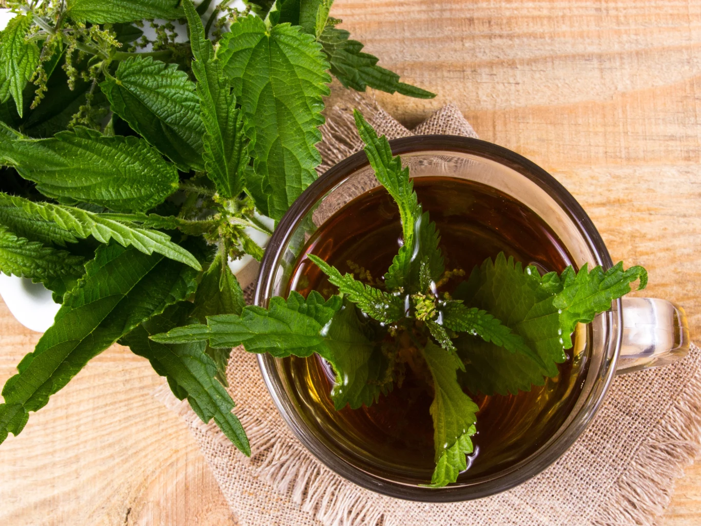 Kto by pomyślał, że popularne herbata będzie najlepszym domowym nawozem do monstery. Spróbuj zasilić ją naparem z pokrzywy Kto by pomyślał, że popularne herbata będzie najlepszym domowym nawozem do monstery. Spróbuj zasilić ją naparem z pokrzywy