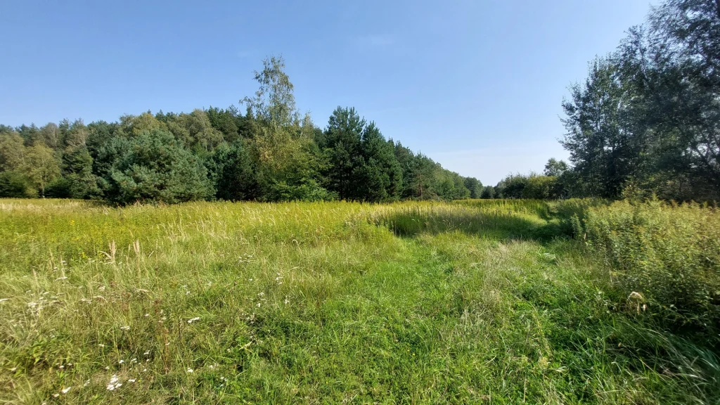 Dyskoteka znajdowała się w budynku OSP, na skraju lasu