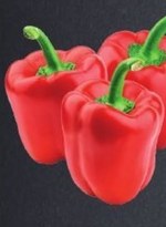 Papryka