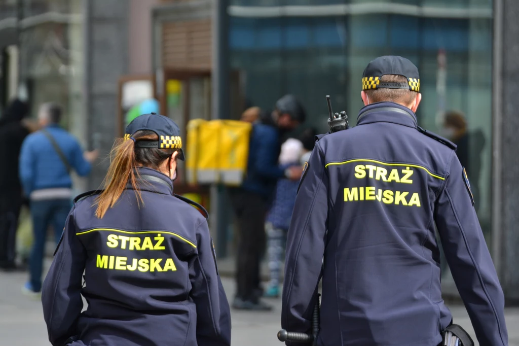 Kontrole stanowisk handlowych ruszyły w całym kraju pełną parą