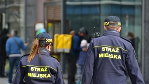 Straż miejska zapuka do mieszkań. Za brak wpisu do CEEB będzie grzywna.