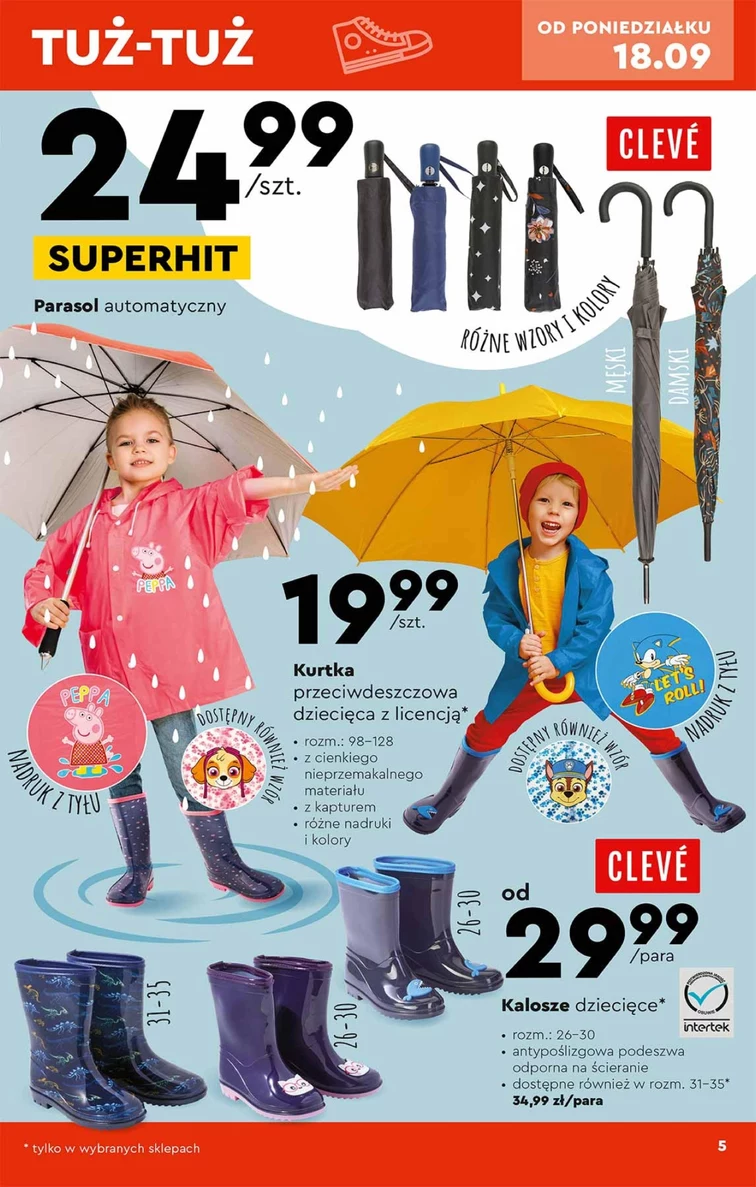 leaflet page preview image