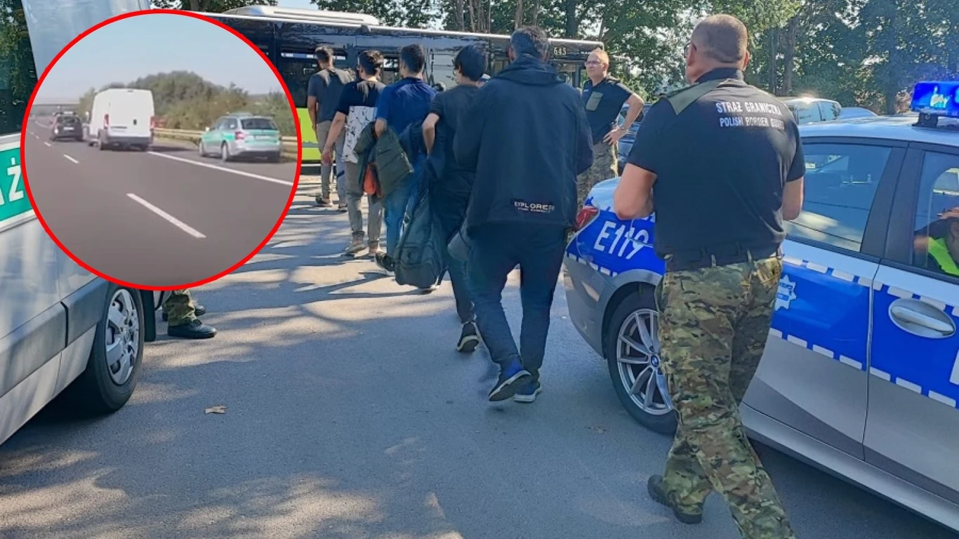 Szaleńczy pościg za busem z migrantami. Kierował 17-letni Polak Szaleńczy pościg za busem z migrantami. Kierował 17-letni Polak