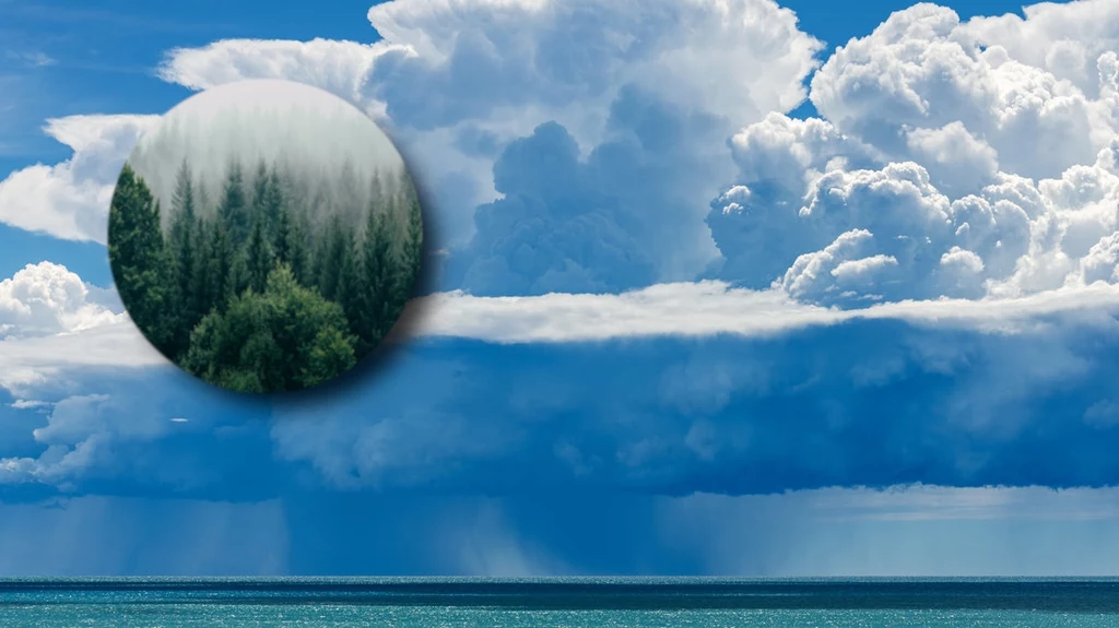 Jak powstają chmury? Badacze ze Szwajcarii sprawdzili, co jest kluczowe w procesie tworzenia się chmur. Odpowiedź na to pytanie pozwoli naukowcom lepiej zrozumieć pogodę i kliamt na Ziemi