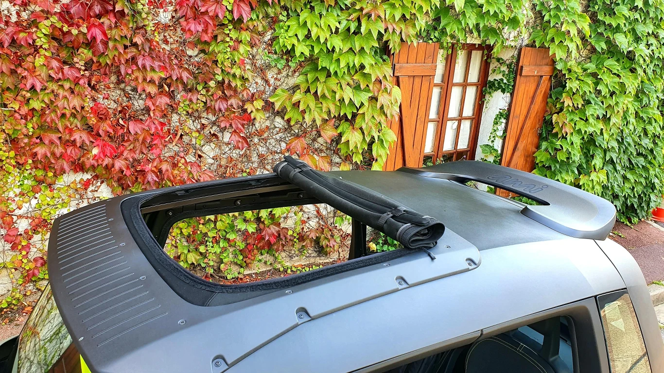 Citroen Ami Buggy