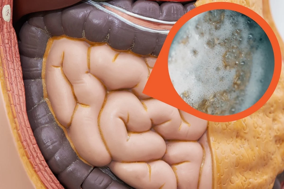 Pij wodę owsianą każdego dnia na czczo, a pozbędziesz się boczków i zaparć Pij wodę owsianą każdego dnia na czczo, a pozbędziesz się boczków i zaparć