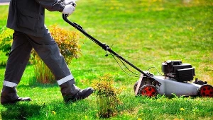 To najlepszy termin na ostatnie koszenie trawy. Nie przegap go dla dobra murawy