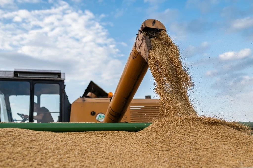 Spór o ukraińskie zboże Spór o ukraińskie zboże