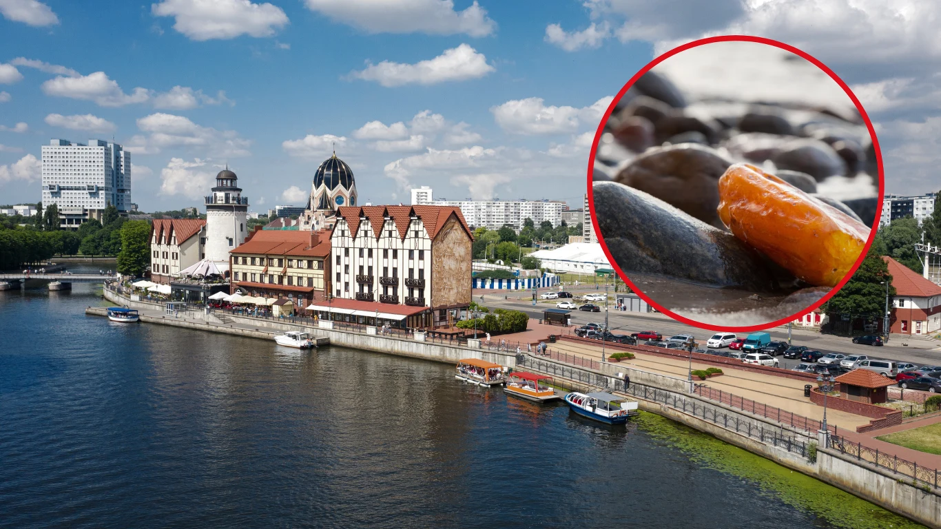 Bursztyn uratuje Królewiec? Miasto upadało, teraz ma zarobić Bursztyn uratuje Królewiec? Miasto upadało, teraz ma zarobić