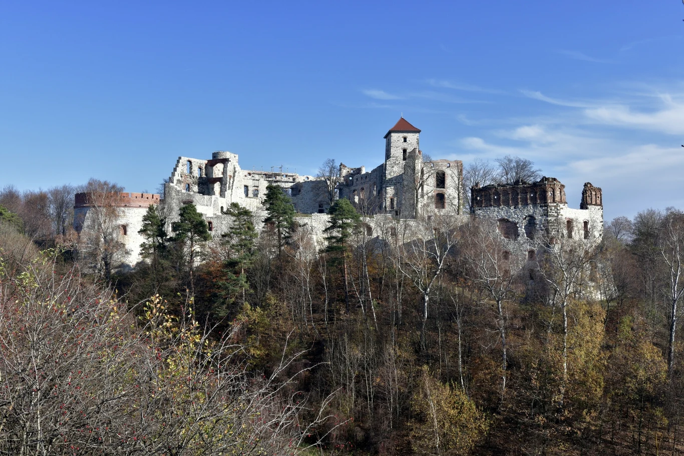 Zamek Tenczyn w Rudnie. Tajemnicze pozostałości po dawnej fortyfikacji