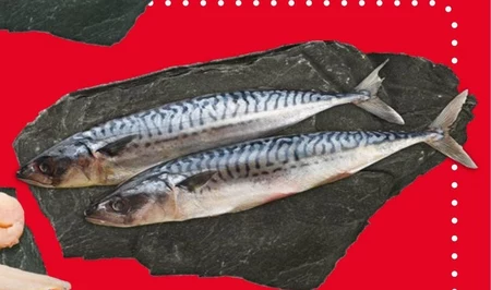 Makrela