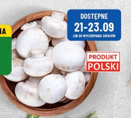 Pieczarki