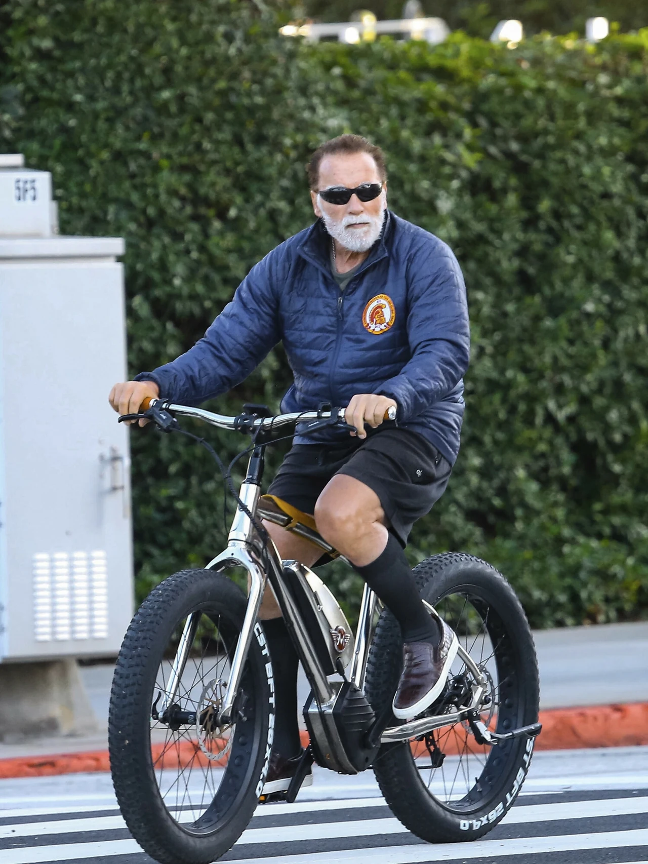 Arnold Schwarzenegger