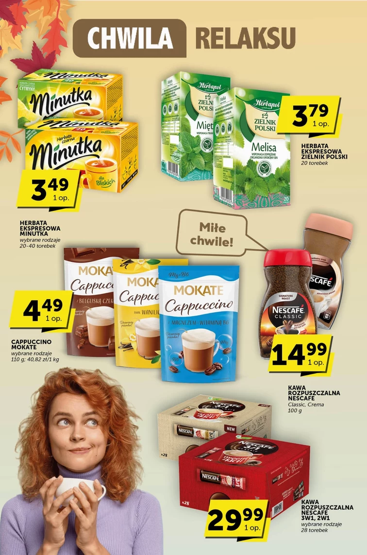 leaflet page preview image