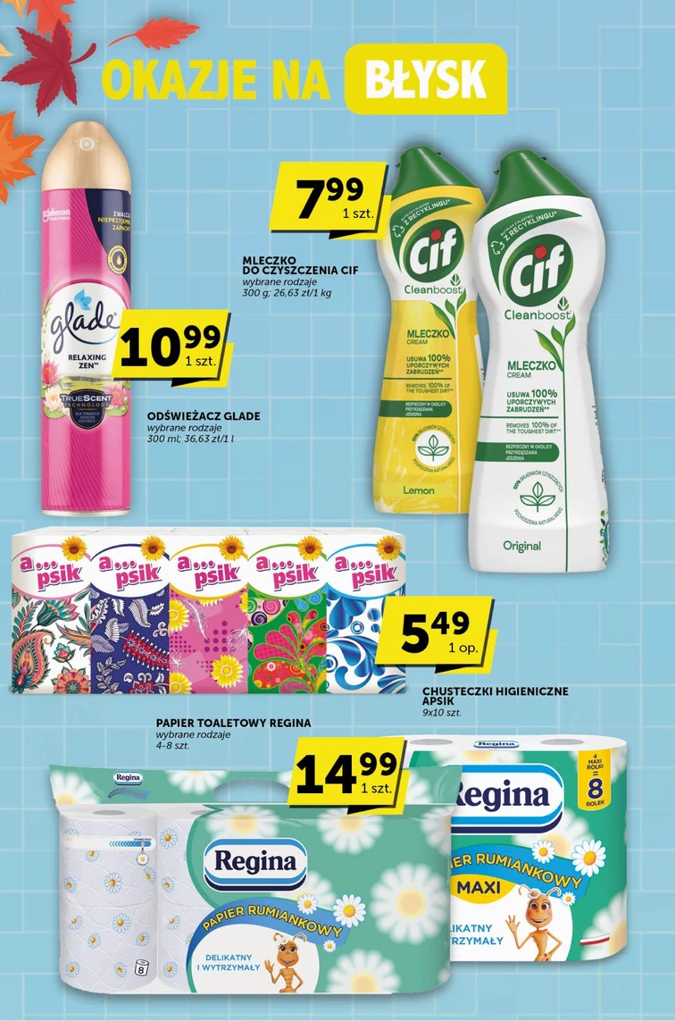 leaflet page preview image