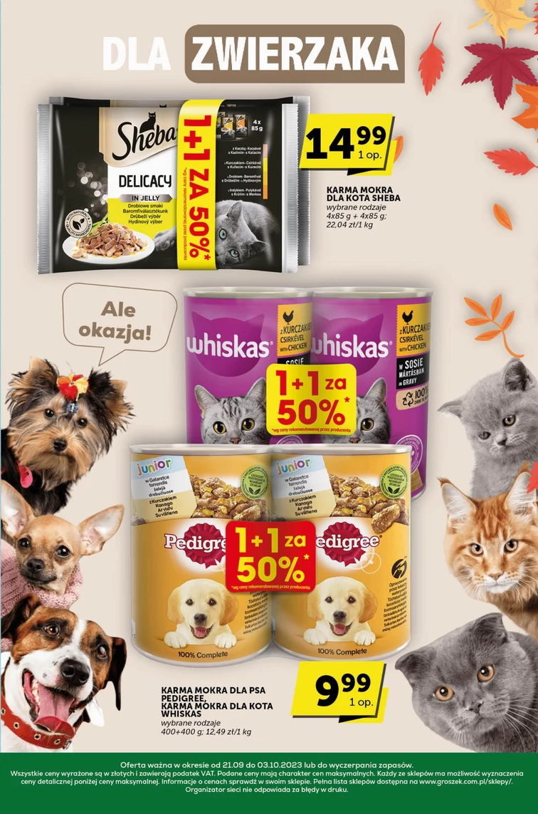 leaflet page preview image