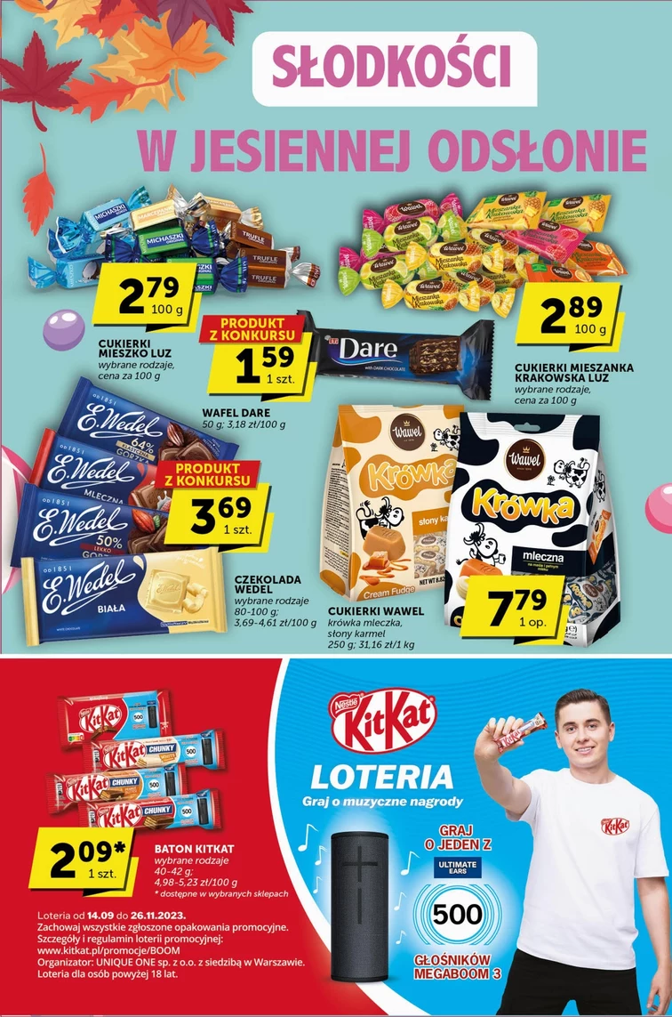leaflet page preview image