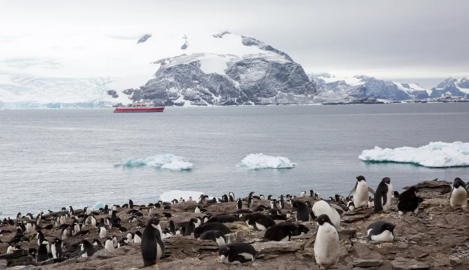 Antarktyda odczuwa nie tylko globalne ocieplenie ale też masową turystykę