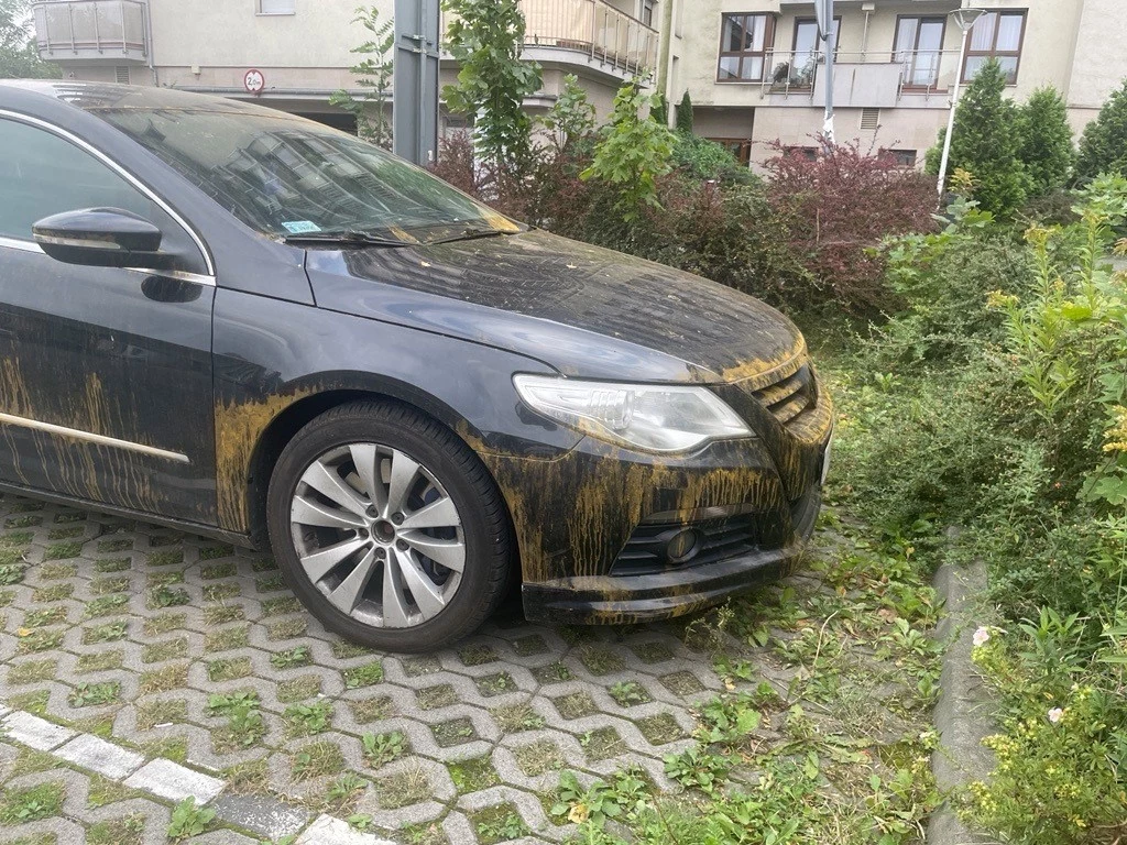 Brązowy deszcz? To nie wymysł meteorologów ale opad pyłu znad Sahary zwanego kalima