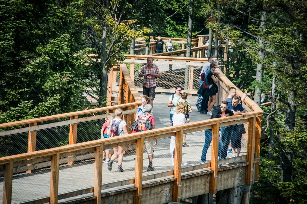 Na spacer ścieżką ponad koronami drzew w Krynicy-Zdroju warto wybrać się w jesienny weekend