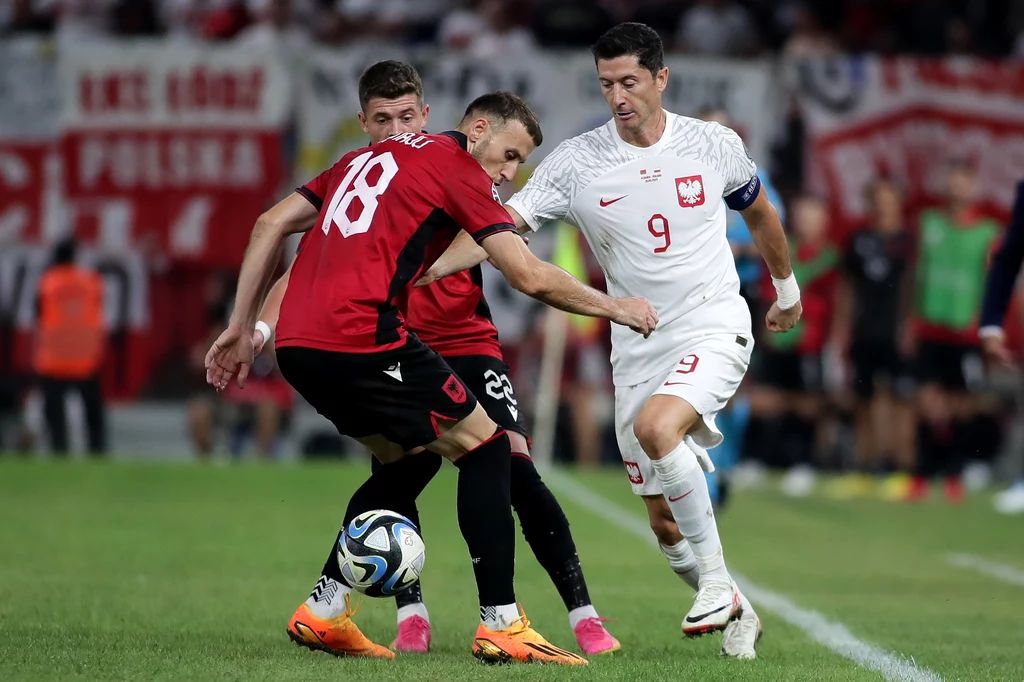 Kadr z meczu Polska - Albania Kadr z meczu Polska - Albania