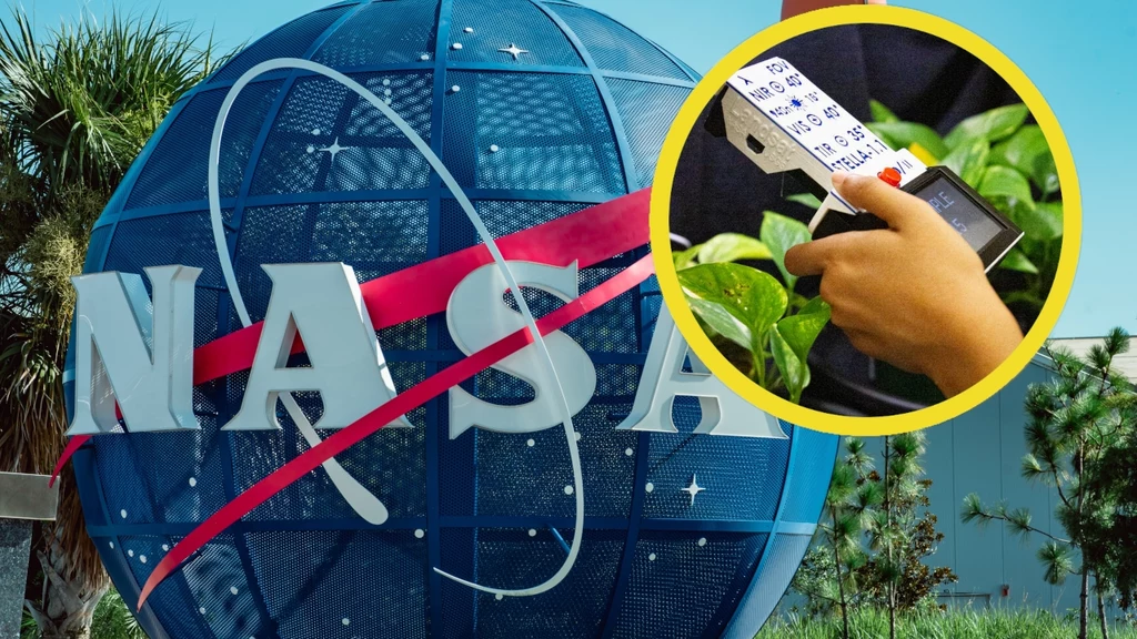NASA stworzyła niepowtarzalny gadżet. Ma badać kondycję roślin