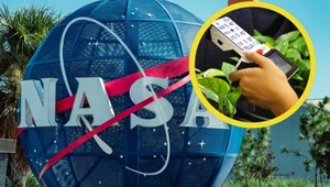 NASA stworzyła niecodzienny gadżet. Ma mierzyć zdrowie roślin