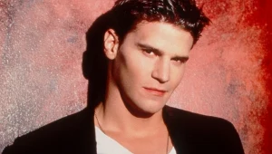 David Boreanaz jako Angel