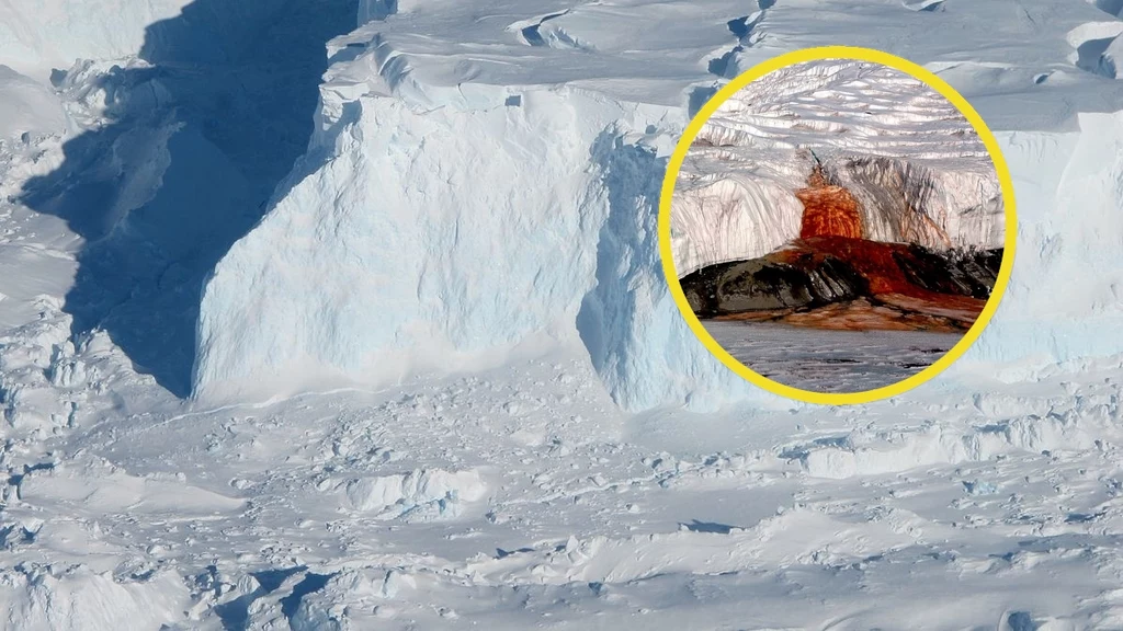 Lodowiec Thwaites, znany lepiej jako "Lodowiec Zagłady" i krwawy lodowiec na Antarktydzie (w oknie)