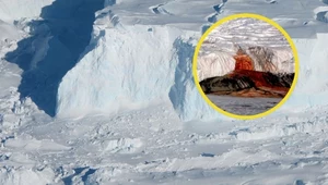 Lód ma wiele kolorów. Na Antarktydzie zobaczysz je wszystkie