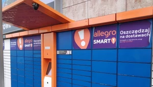 Allegro wprowadziło nowy regulamin. 