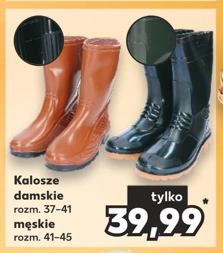 Kalosze