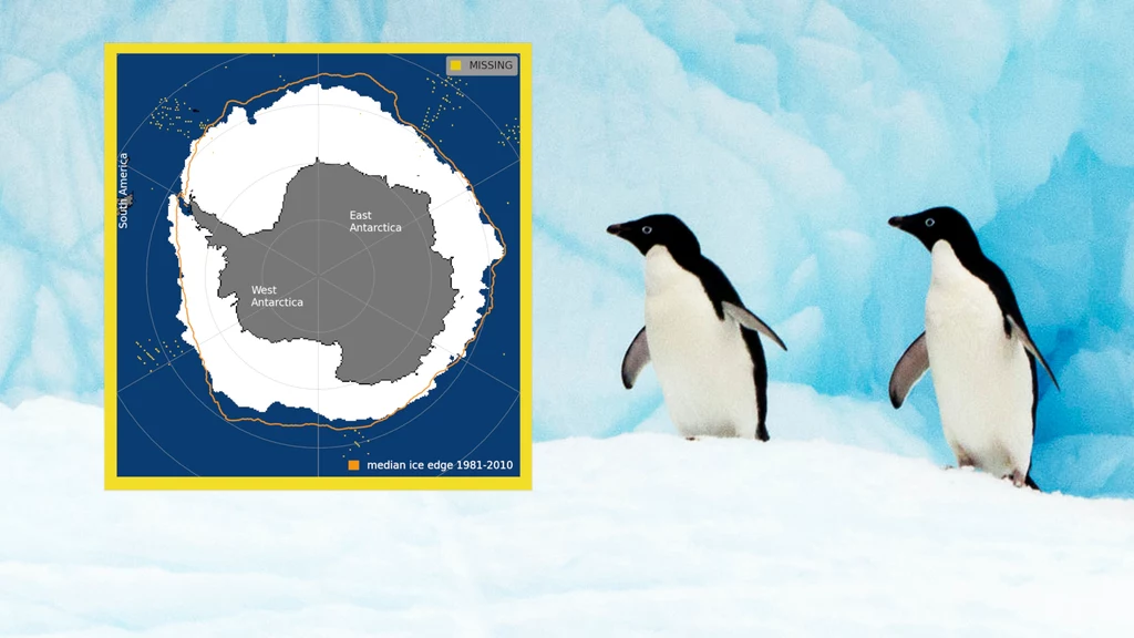 W porównaniu z ubiegłym rokiem z Antarktydy zniknęło ponad 1,3 mln kilometrów kwadratowych lodu. To cztery razy tyle, ile wynosi powierzchnia Polski