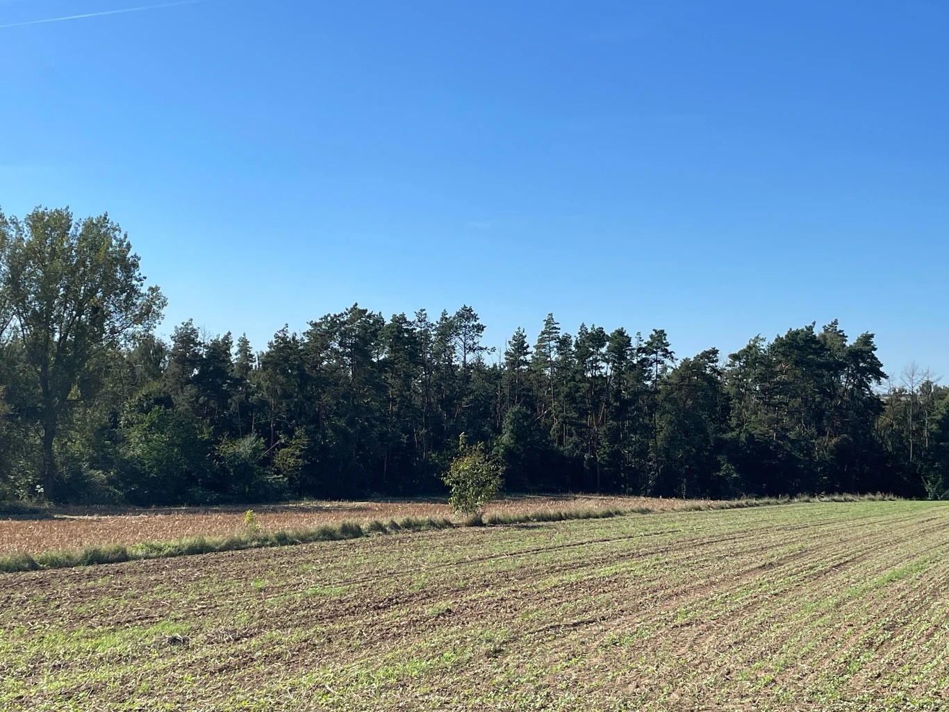 Kolonia Bychawka Druga. Na pozór spokojne miejsce...