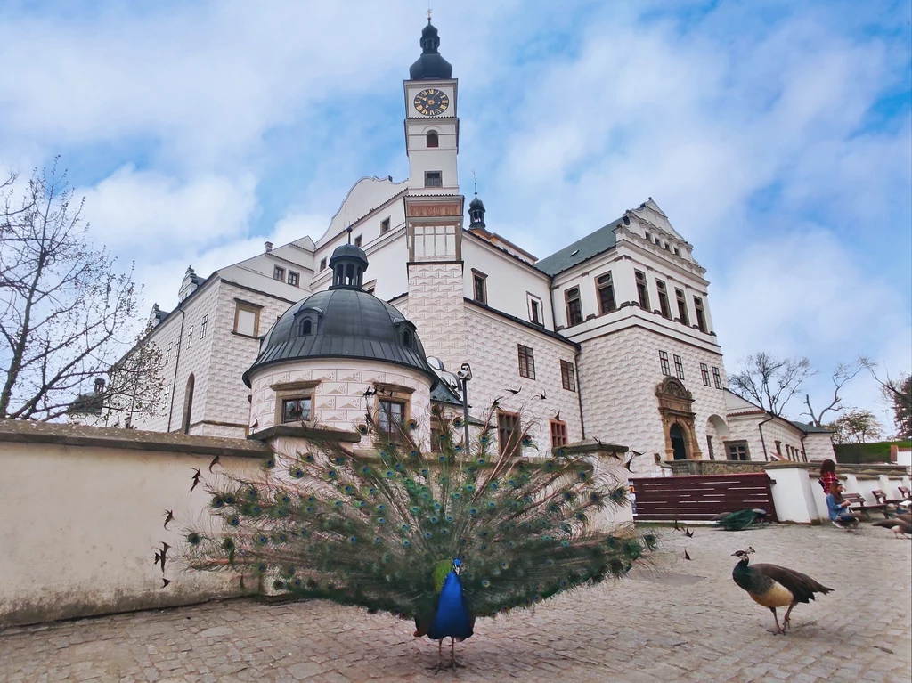 Obowiązkowy punkt na mapie Pardubic