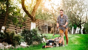 Nie przegap jesiennego koszenia trawy. Sprawdź, kiedy i jak skosić trawę ostatni raz przed zimą