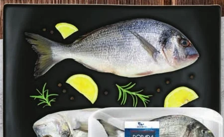 Dorada