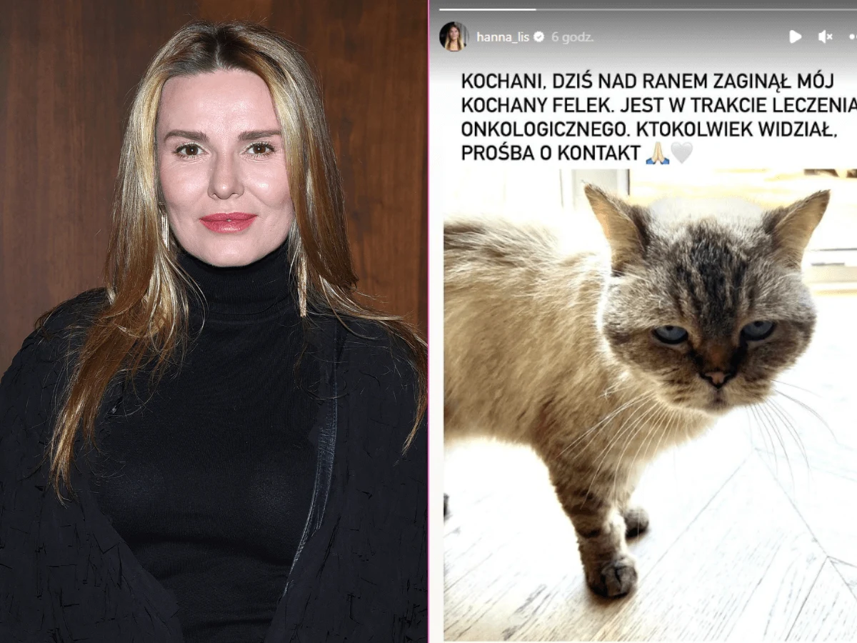 Hanna Lis prosi o pomoc na Instastory