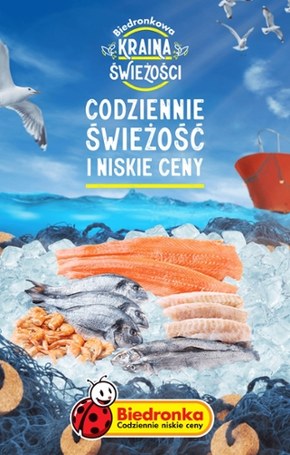 Od poniedziałku w Biedronce